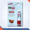 SEBAMED LIP DEFENSE